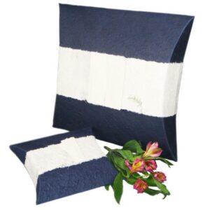 AUP4110NB Journey EarthUrns – Navy